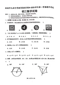 广东省珠海市九洲中学教育集团2024—2025学年上学期期中九年级数学试题