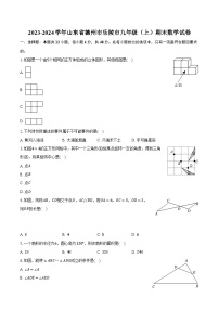 2023-2024学年山东省德州市乐陵市九年级（上）期末数学试卷（含解析）