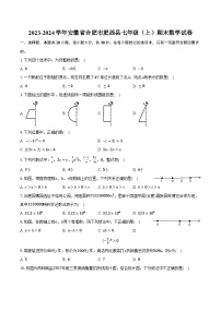2023-2024学年安徽省合肥市肥西县七年级（上）期末数学试卷（含解析）