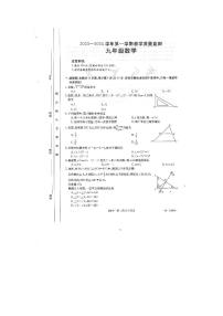 2023-2024学年福建省泉州市洛江区九年级（上）期末数学试卷