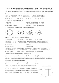 2023-2024学年湖北省武汉市东西湖区九年级（上）期末数学试卷（含解析）