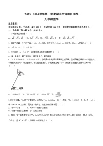 河南省周口市郸城县2023-2024学年九年级上学期期末数学试题(无答案)