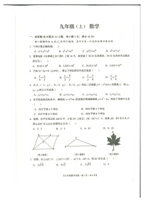 安徽省池州市贵池区2023-2024学年上学期期末质量检测 九年级数学 试题（图片版，含答案）