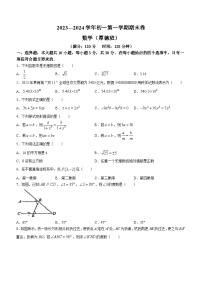 2023-2024学年广东省中山市华辰中学七年级（上）期末数学试卷