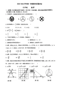 2023-2024学年安徽省合肥市九年级（上）期末数学试卷