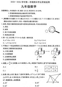 2023-2024学年河北省廊坊市霸州市九年级（上）期末数学试卷