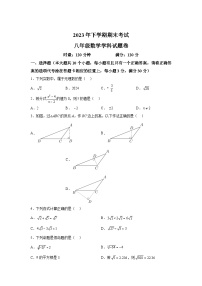 湖南省湘潭市2023-2024学年八年级上学期期末数学试题(含解析)