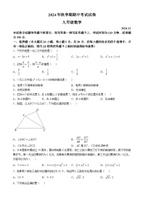 江苏省无锡市经开区2024-2025学年上学期九年级期中考试数学试题