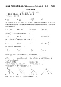 湖南省岳阳市湘阴县岭北五校2024-2025学年八年级上学期11月期中联考数学试题