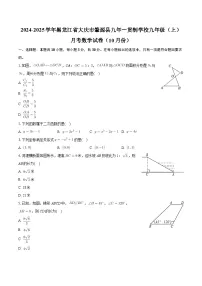 黑龙江省大庆市肇源县九年一贯制学校2024-2025学年九年级上学期月考数学试卷（10月份）