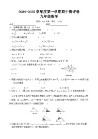 河南省周口市郸城县东风乡第一初级中学等校2024-2025学年九年级上学期11月期中考试数学试题