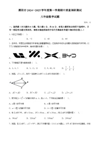 江苏省常州市溧阳市2024～2025学年上学期期中质量调研测试八年级数学试题