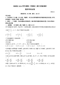 上海市杨浦区2024-2025学年八年级上学期数学期中试卷（五四学制）(无答案)