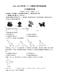 辽宁省抚顺市新抚区2024-2025学年八年级上学期11月期中考试数学试题