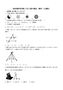 吉林省名校调研系列卷2024-2025学年上学期八年级数学期中测试卷