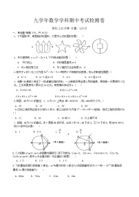 辽宁省营口市大石桥市实验中学2024-2025学年九年级上学期期中测试数学试卷