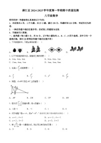 贵州省铜仁市碧江区2024-2025学年八年级上学期11月期中数学试题