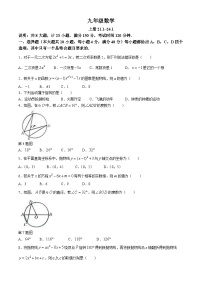 安徽省芜湖市无为市 2024-2025学年九年级上学期11月期中数学试题