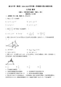 广东省深圳市宝安区新安中学（集团）2024-2025学年九年级上学期期中考试数学试卷