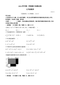 上海市淞谊中学2024-2025学年上学期七年级数学期中检测试卷