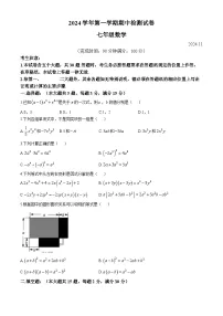上海市淞谊中学2024-2025学年上学期七年级数学期中检测试卷