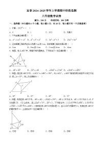 江西省宜春市第八中学2024-2025学年八年级上学期11月期中考试数学试题(无答案)