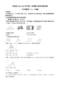 河南省商丘市民权县2024-2025学年八年级上学期11月期中数学试题(无答案)