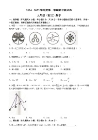 江西省南昌市2024-2025学年九年级上学期11月期中考试数学试题(无答案)