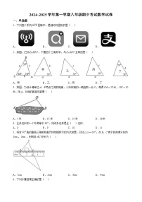 河南省洛阳市地矿双语中学2024-2025学年八年级上学期期中数学试卷(无答案)