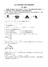 江苏省无锡市蠡园中学2024-2025学年八年级上学期期中数学试题(无答案)