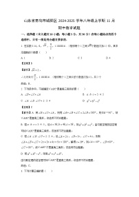 2024-2025学年山东省青岛市城阳区八年级(上)11月期中数学试卷(解析版)