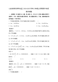 2024-2025学年山东省青岛市市北区八年级(上)期中数学试卷(解析版)