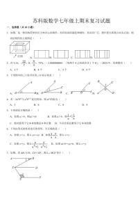 2024—2025学年苏科版数学七年级上册期末复习试卷(含答案)