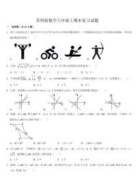 2024—2025学年苏科版数学八年级上期末复习试卷(含答案)