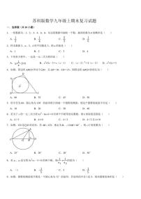 2024—2025学年苏科版数学九年级上期末复习试卷(含答案)