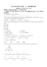 广东省中山市共进联盟2024～2025学年八年级(上)期中数学试卷(含答案)