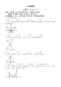 安徽省芜湖市无为市2024～2025学年八年级(上)期中联考数学试卷(含答案)