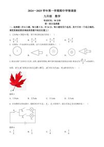 广东省深圳市宝安中学(集团)初中部2024～2025学年九年级(上)期中数学试卷(含答案)