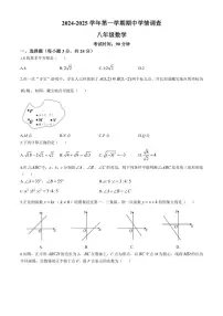广东省深圳市宝安中学(集团)初中部2024～2025学年八年级(上)期中数学试卷(含答案)
