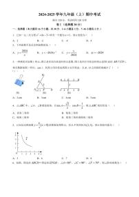 河北省衡水桃城中学2024～2025学年九年级(上)数学期中试卷(含答案)