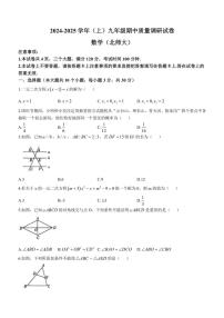 河南省焦作市2024～2025学年九年级(上)期中质量调研数学试卷(含答案)