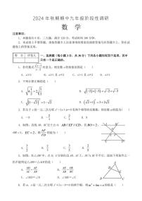 河南省南阳市淅川县2024～2025学年九年级(上)期中阶段调研数学试卷(含答案)