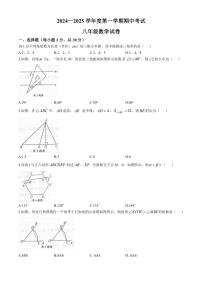 河南省商丘市夏邑县2024～2025学年八年级(上)期中数学试卷(含答案)