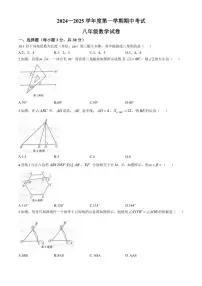 河南省商丘市夏邑县2024～2025学年八年级(上)期中数学试卷(含答案)