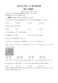 湖南省娄底市娄星区2024—2025学年八年级(上)数学期中试卷(含答案)