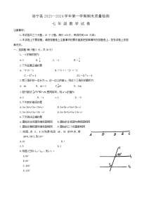 2023-2024学年河南省洛阳市洛宁县七年级（上）期末数学试卷