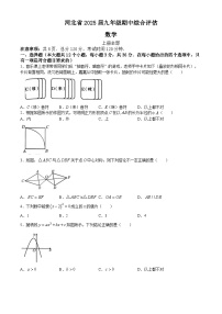 河北省廊坊市2024-2025学年九年级上学期11月期中数学试题