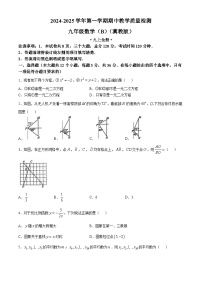 河北省石家庄市2024-2025学年上学期九年级数学期中测试题B(无答案)