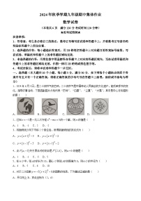 湖北省省直辖县级行政单位潜江市潜江市2024-2025学年九年级上学期期中考试数学试题(无答案)