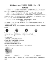 山东省济南市莱芜区2024-2025学年上学期期中考试七年级数学试题